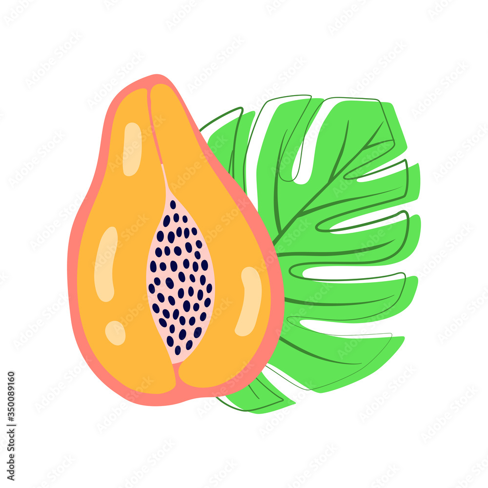 Abstract fruit papaya. Bright colour in vector illustration. Abstract fruit papaya. Bright colour in vector illustration.
