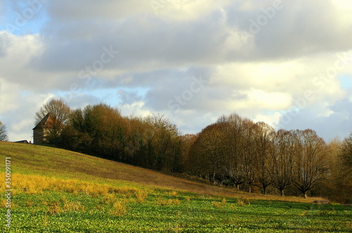 Fields and trees in rural France