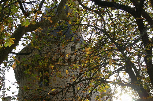 French castle tower behind the trees