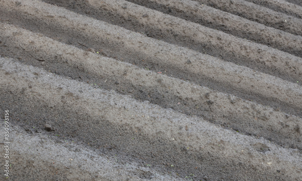 View of agricultural land prepared for sowing, arable soil View of agricultural land prepared for sowing, arable soil