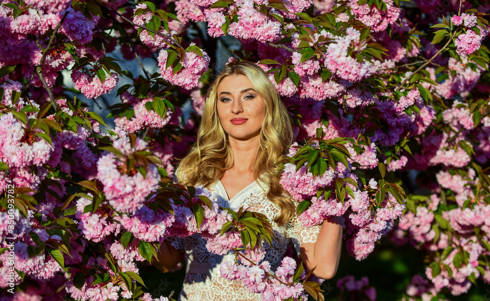 Fototapeta premium Spring mood. spring nature blossom in park. retro woman smell sakura flowers. spa and beauty treatment. soft skin care. healthy girl in cherry tree garden. vintage summer fashion