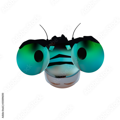 The head of a merry dragonfly