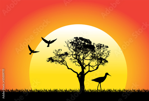 landscape with a tree and different birds on a sunset background