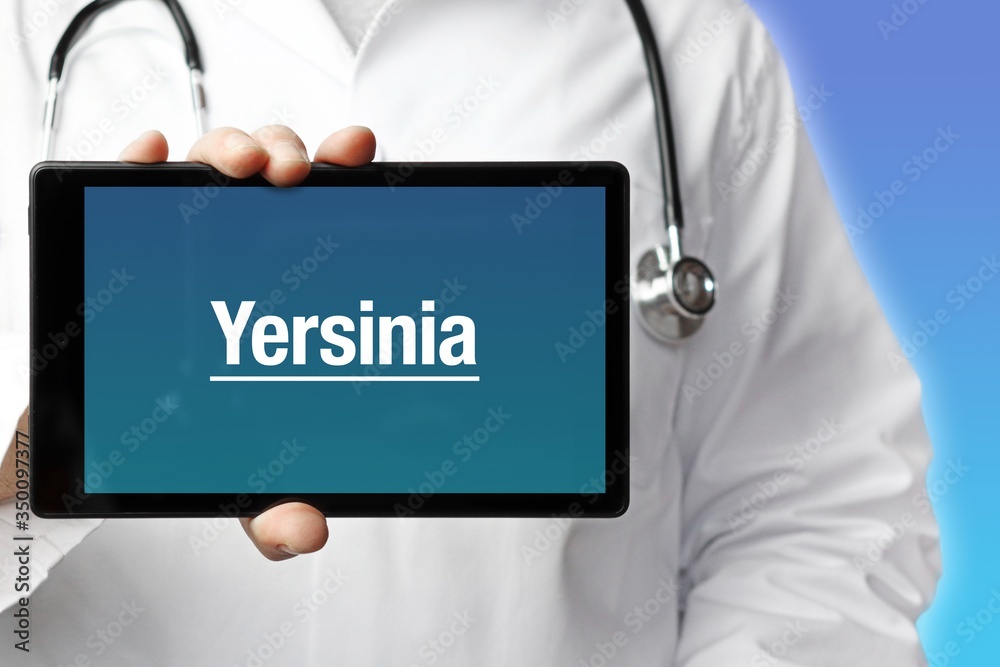 Yersinia. Arzt mit Stethoskop hält Tablet-Computer in Hand. Text im Display. Blauer Hintergrund. Krankheit, Gesundheit, Medizin Yersinia. Arzt mit Stethoskop hält Tablet-Computer in Hand. Text im Display. Blauer Hintergrund. Krankheit, Gesundheit, Medizin