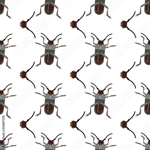 Background with a barbel beetle