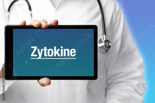 Zytokine. Arzt mit Stethoskop hält Tablet-Computer in Hand. Text im Display. Blauer Hintergrund. Krankheit, Gesundheit, Medizin photo