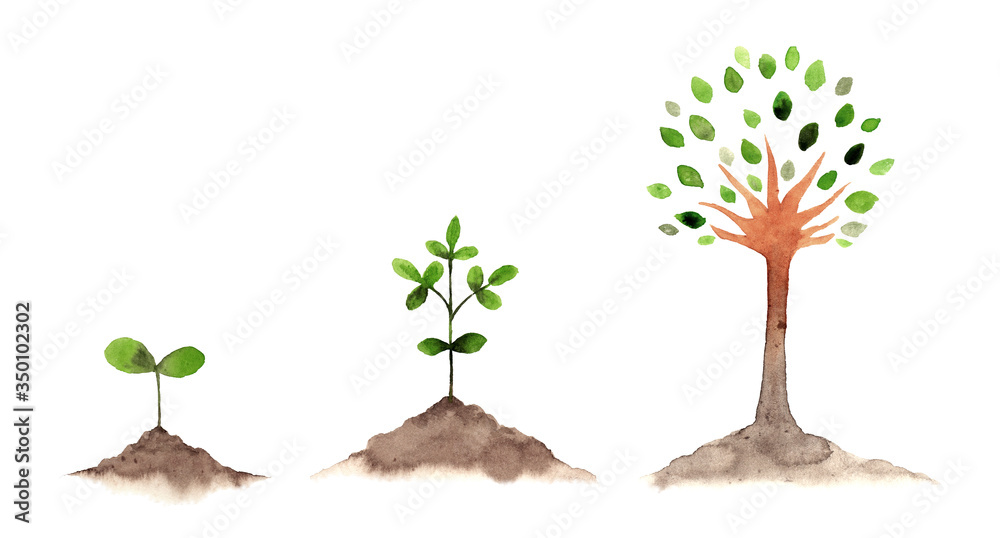 木の成長セット水彩画 Stock Illustration Adobe Stock