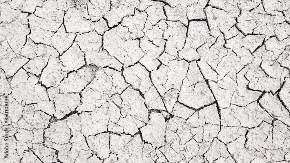 Fototapeta premium Dry mud cracked ground texture. Drought season background