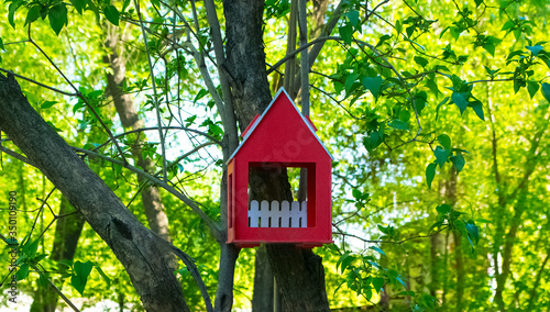 a bird feeder