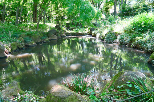東村山中央公園の池