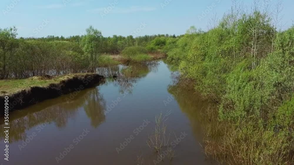 reflection of trees in the water. Siberia reflection of trees in the water. Siberia