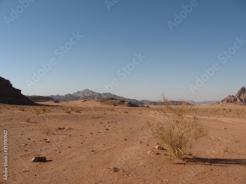 Arabian desert. A camel thorn Bush and scattered rocks on orange sand against the background of distant mountains and blue sky.