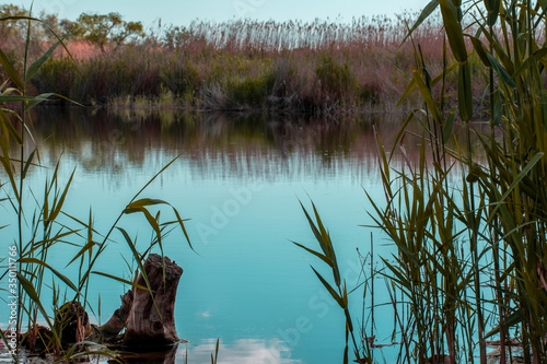 Background of a small lake, calm water with a stump.