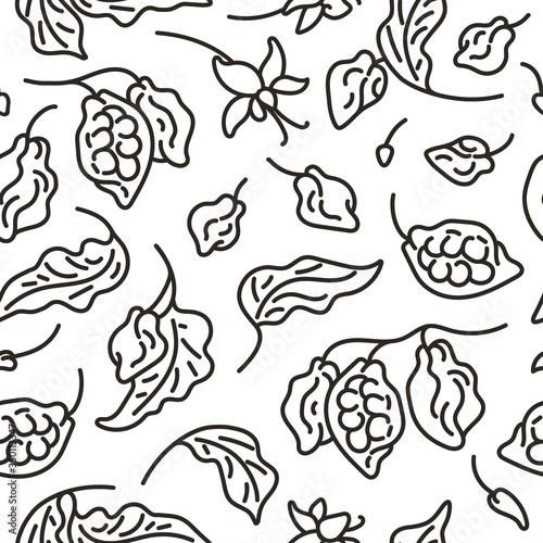 Cocoa seamless pattern. Art line vector. Organic