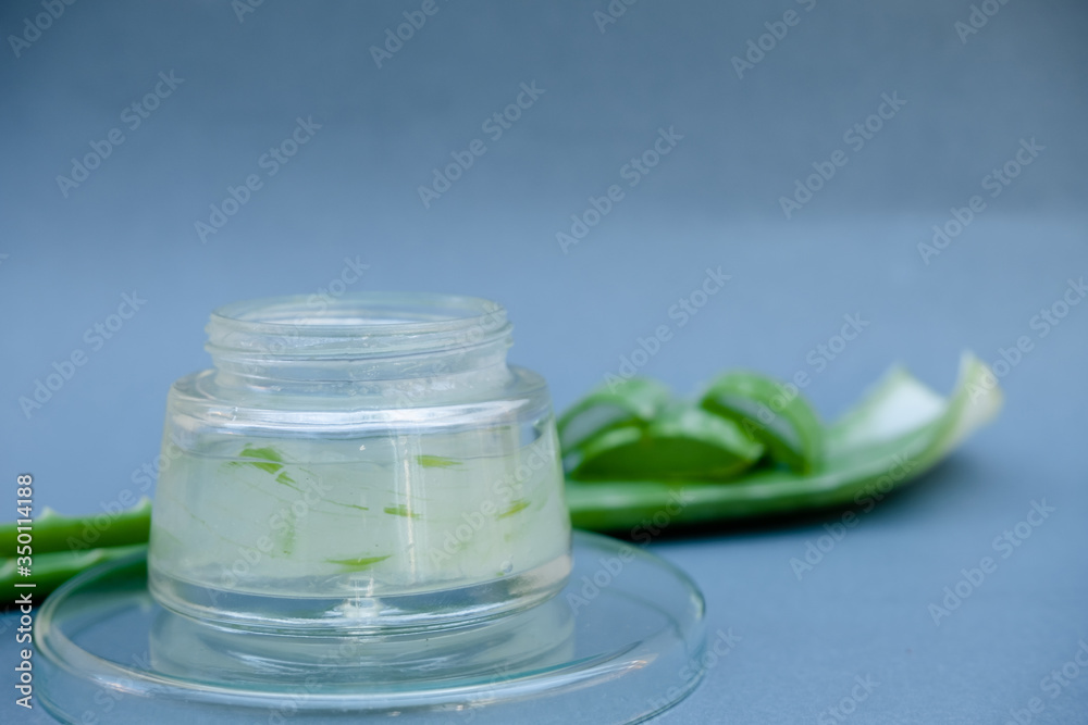 Aloe vera Gel that has both substances to cure scars And used to produce health drinks Or cosmetics that are good for the skin Aloe vera Gel that has both substances to cure scars And used to produce health drinks Or cosmetics that are good for the skin