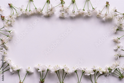 Arrangement with white cherry inflorescence from below on a light-rose background for a wedding or greeting card with copy space photo