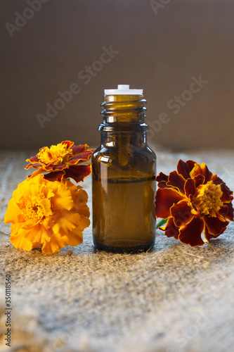 Fototapeta Naklejka Na Ścianę i Meble -  Tagetes patula essential oil (remedy, extract) bottle with Tagetes patula fresh flowers on canvas background