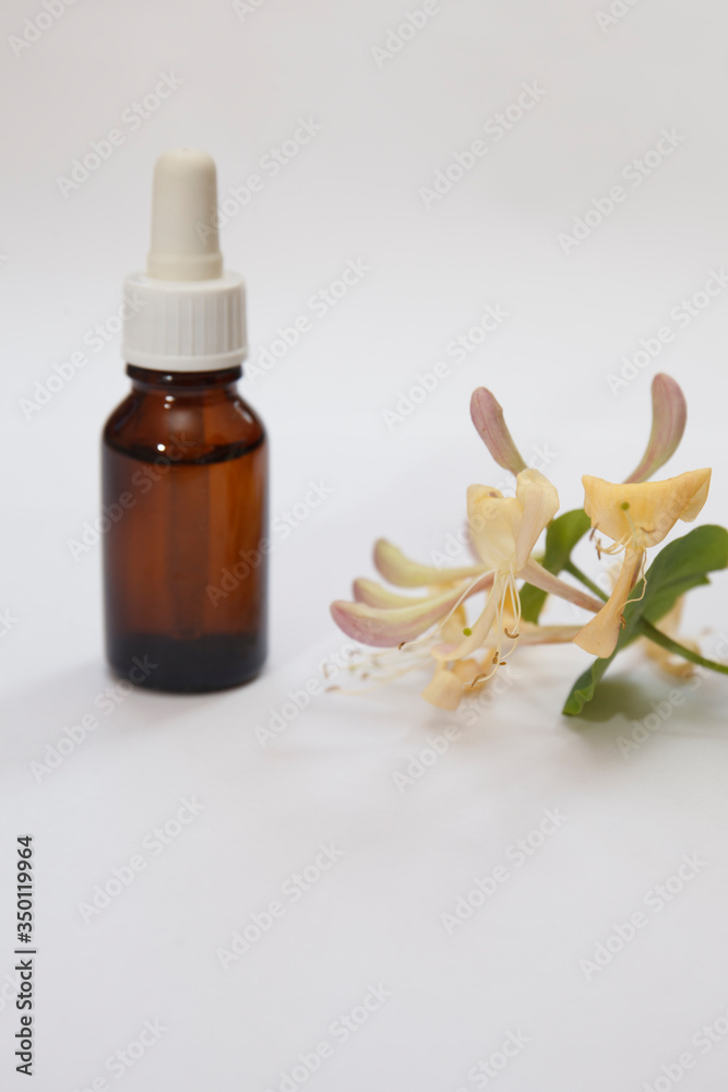 Lonicera caprifolium, honeysuckle flower essential oil (remedy, extract) jar isolated white. Selective focus Lonicera caprifolium, honeysuckle flower essential oil (remedy, extract) jar isolated white. Selective focus