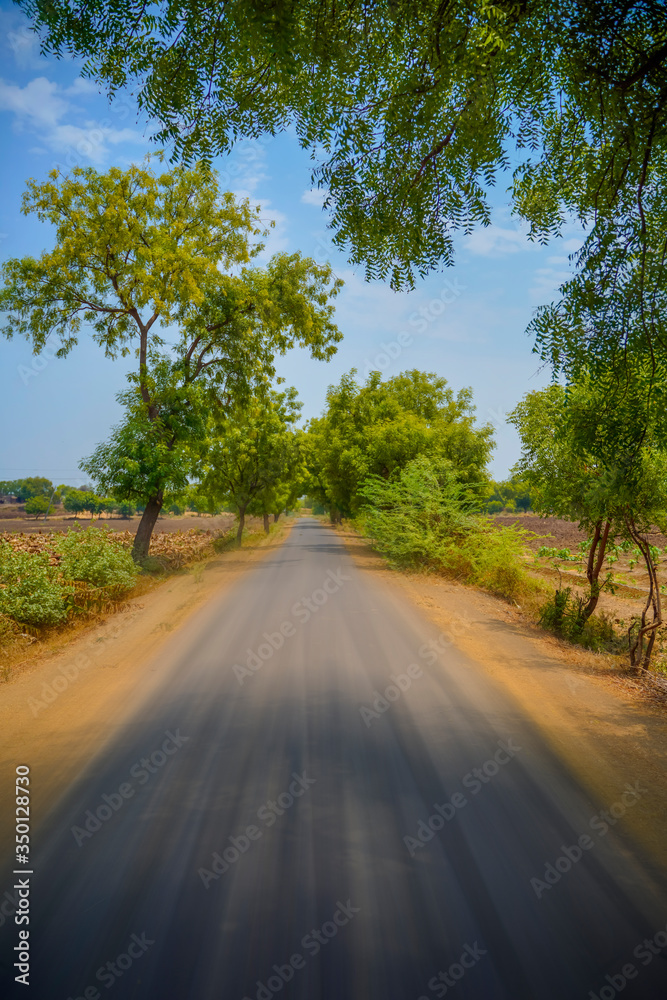 Obraz premium Grey road with trees on both sides and clear blue sky without any vehicles.