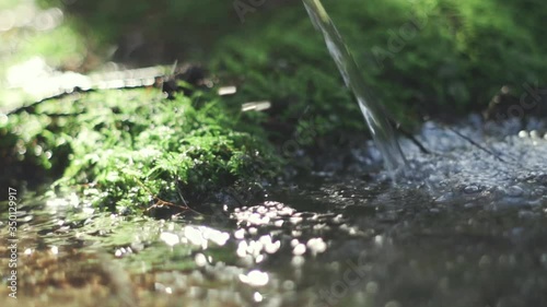 A close-up and slow-motion shot of a water source in a virgin forest