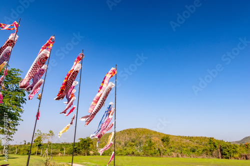 Scenery portrait of the flag flying of koi fish shaped for Japanese boy’s day in May