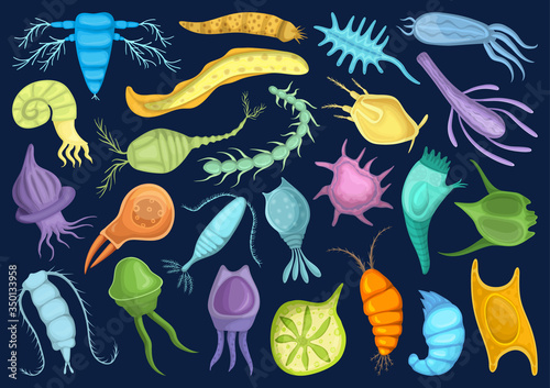 Plankton vector cartoon set icon. Isolated cartoon set icon phytoplankton.Vector illustration plankton on white background. photo
