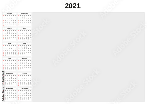 2021 annual calendar with white background.