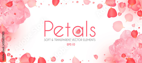 Flying petals abstract background with blossom peony flower. Cosmetics, wedding and fashion background. Soft romagic blooming wind.