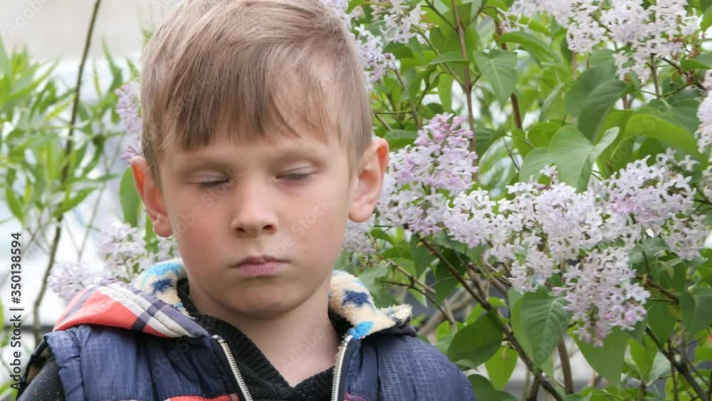 close-up portrait of a boy in nature close-up portrait of a boy in nature