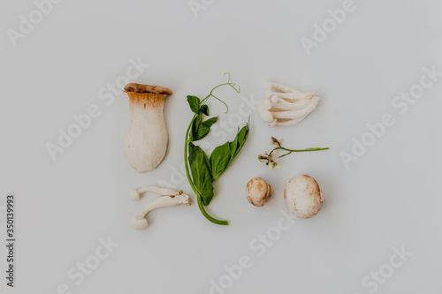 A flat lay composition with a variety of wild mushrooms and pea shoots on a pastel white background