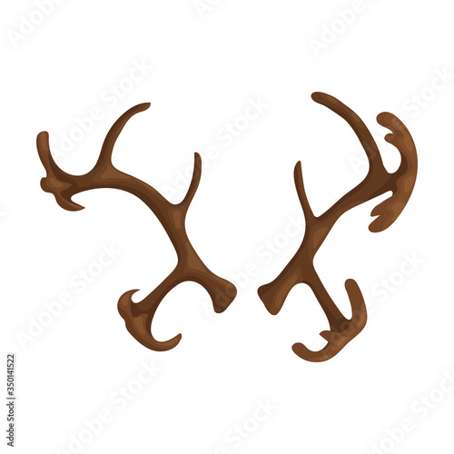 Elk horn vector icon.Cartoon vector icon isolated on white background elk horn. © Svitlana