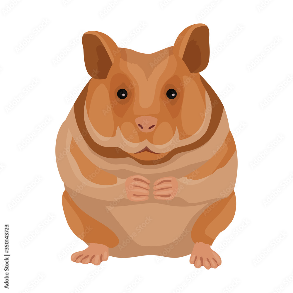 Hamster vector icon.Cartoon vector icon isolated on white background hamster. Hamster vector icon.Cartoon vector icon isolated on white background hamster.