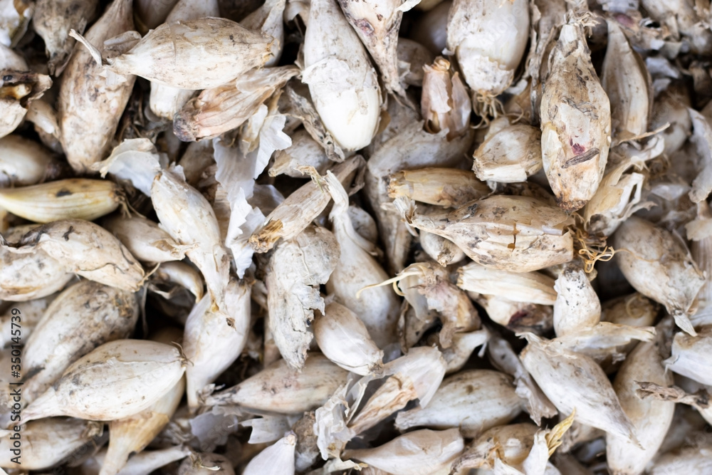 raw garlic for the background, top view