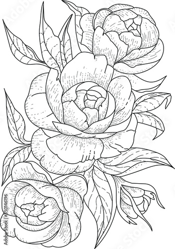 Flowers graphic. Three blooming peonies with a bud and leaves. Vector coloring book pages. Hand drawn illustration. Monochrome floral background wallpaper. Floral ornament is good for web, print 