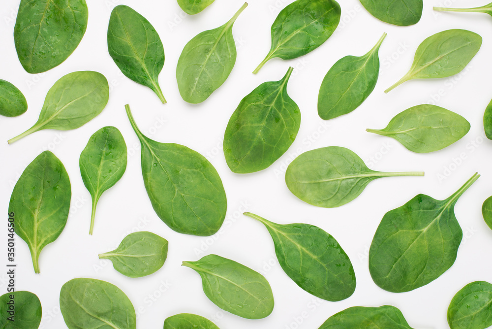 Top above overhead view photo of baby spinach isolated on white background