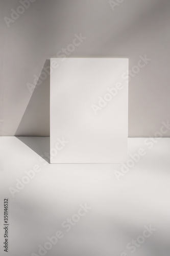 Artistic still life scene. Blank vertical greeting card, poster mockup against beige, nude wall. White table background, long shadows. Branding, display concept. Vertical orientation.