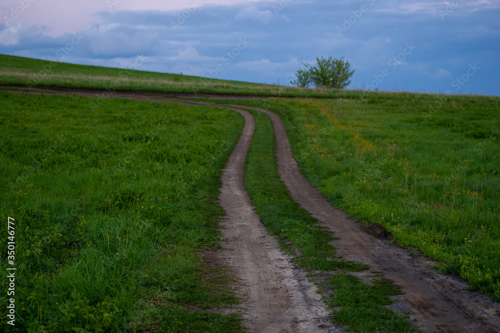 country road at sunset in green grass