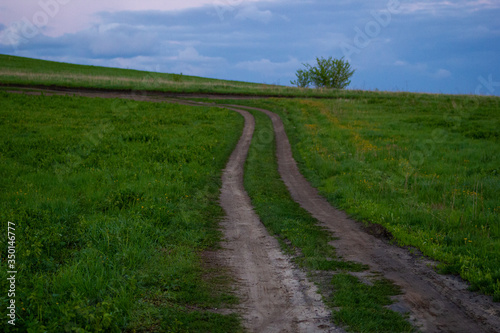 country road at sunset in green grass