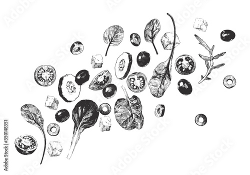 Vintage hand drawn illustration of summer salad with feta cheese, sliced vegetables and leafy greens
