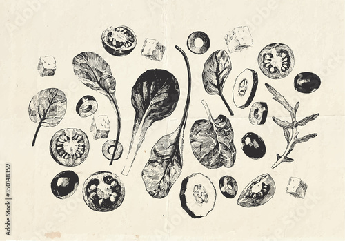 Vintage hand drawn illustration of summer salad with feta cheese, sliced vegetables and leafy greens