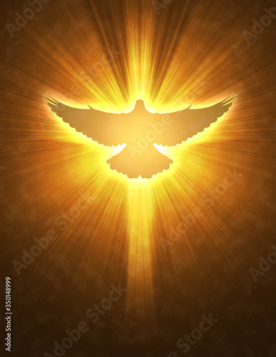shining dove with rays on a dark © Sergii