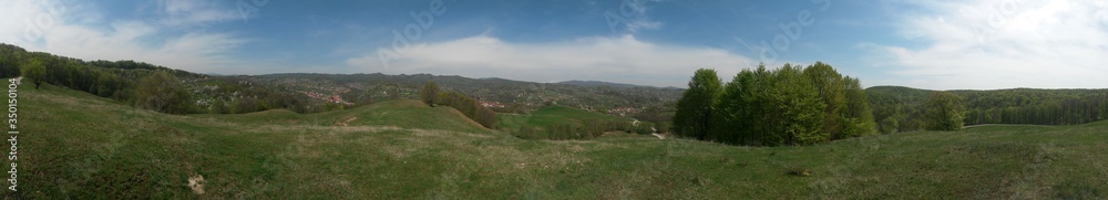 vivid green grass meadow with village in the forest vivid green grass meadow with village in the forest