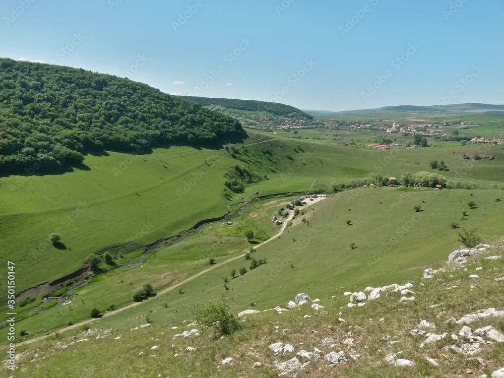 vivid green grass meadow with village in the forest