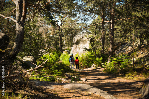 fontainebleau forest photo