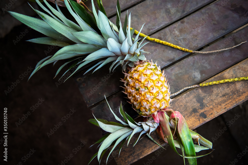 Obraz premium ripe pineapple on wooden background. Flora of Bali island, Indonesia