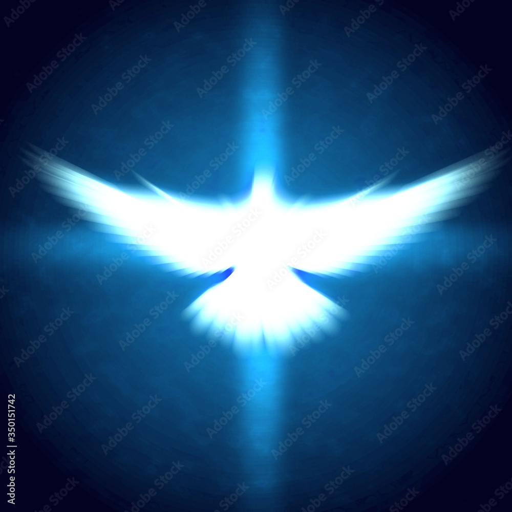 shining dove with rays on a dark shining dove with rays on a dark