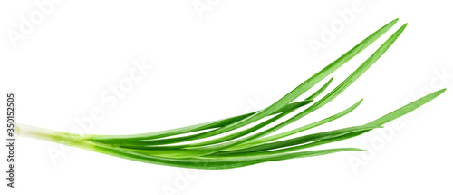 Green onion isolated on the white background, clipping path, full depth of field