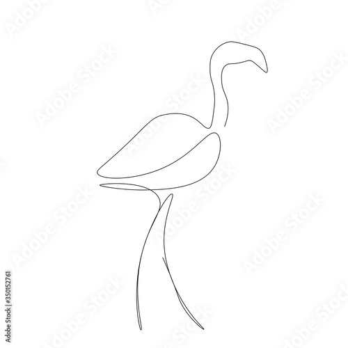 Flamingo line drawing vector illustration