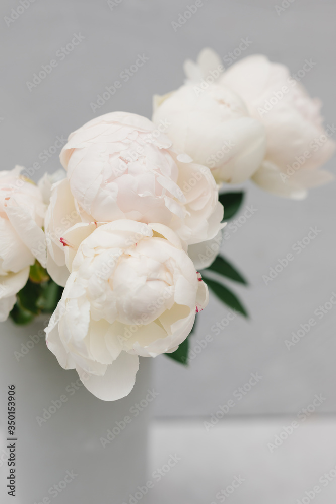 Bouquet of white peonies in a vase on a gray background. Flower concept. Stylish bouquet of white flowers.