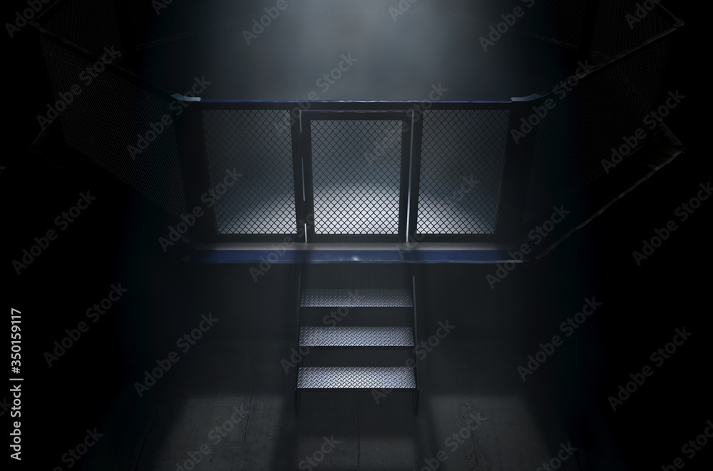 Fototapeta premium MMA Cage Door Spotlight